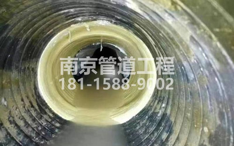 226晏公庙树脂修复